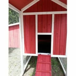 CHEMIN DES POULAILLERS Poulailler Deluxe Toit Shingle Vert 10 À 12 Poules - Vert -POULAILLER ET ÉLEVAGE DE LA BASSE-COUR Ventes 39766165 4