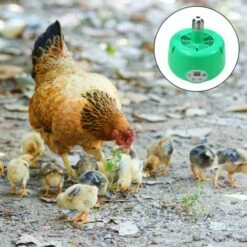 BETTERLIFE BETTE Animaux De Compagnie Lampe Chauffante Poulailler Chauffage Température Réglable Couveuse Lampes Pour Poulet Lézard Tortue Aquarium Serpent Vert 9 BETTERLIFE BETTE Animaux De Compagnie Lampe Chauffante Poulailler Chauffage Température Réglable Couveuse Lampes Pour Poulet Lézard Tortue Aquarium Serpent Vert -POULAILLER ET ÉLEVAGE DE LA BASSE-COUR Ventes 41557057 5