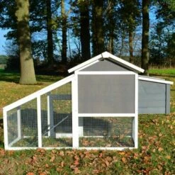 BB-LOISIRCD Poulailler Exterieur En Bois Avec Toit Pliant 175x66x101 Cm Modele- Dottie 151 Taille L -POULAILLER ET ÉLEVAGE DE LA BASSE-COUR Ventes 41621954 5
