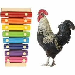 Accessoires De Poulet Jouet Xylophone 1 Pièces Fontainebleau （Multicolore） -POULAILLER ET ÉLEVAGE DE LA BASSE-COUR Ventes 42717525 4