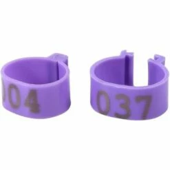 BARES 100 Pièces/Sac 16 MM 001-100 Poulets De Volaille En Plastique Numérotés Canards Bagues De Jambe D'oie(Violet) -POULAILLER ET ÉLEVAGE DE LA BASSE-COUR Ventes 43349086 2