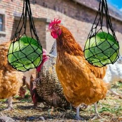 Distributeurs De Nourriture Pour Foin, Nylon Poulet Fruits Et Légumes Sac En Filet Râtelier à Foin, Lapin, Poulailler Réutilisable 57cm Fontainebleau 2Pcs Noir -POULAILLER ET ÉLEVAGE DE LA BASSE-COUR Ventes 45293292 5