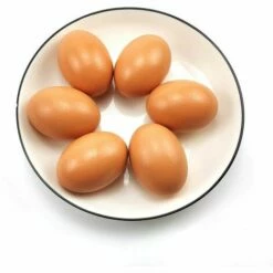 BRIDAY Faux Oeufs De Poule Lot De 6 Faux œufs En Bois Pour Aider à Pondre Des Poules - Outil Agricole -POULAILLER ET ÉLEVAGE DE LA BASSE-COUR Ventes 45788391 5