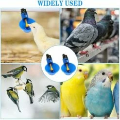 VERSAILLESFR Volaille Tasse à Boire Automatique En Plastique Distributeur D'Eau De Poulet，Abreuvoir Pour Poules Poulailler Volaille Oiseau Coupes Buveur -Versailles -POULAILLER ET ÉLEVAGE DE LA BASSE-COUR Ventes 45968180 4