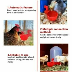 VERSAILLESFR Automatiques Supplies Abreuvoir Poules Tasses à Bol Bol En Plastique, Volailles Distributeurs D'eau Automatique De L'eau Potable Tasses -Versailles -POULAILLER ET ÉLEVAGE DE LA BASSE-COUR Ventes 45968181 4