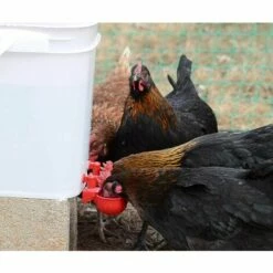 VERSAILLESFR Lot De 2 Distributeurs D'eau Automatiques Pour Volaille -POULAILLER ET ÉLEVAGE DE LA BASSE-COUR Ventes 46550591 3