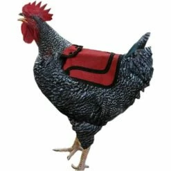 Kueatily Tablier Protection Dorsale Volaille -POULAILLER ET ÉLEVAGE DE LA BASSE-COUR Ventes 46714458 3