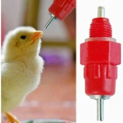 TINOR 20 Pcs Eau Tetine Poulet Alimentateur Fournitures De Volaille Poule Vis Dans Le Style -POULAILLER ET ÉLEVAGE DE LA BASSE-COUR Ventes 46790910 4