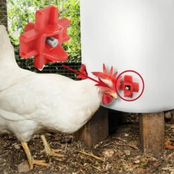 Buveurs D'Eau De Poulet En Plastique Et Acier Inoxydable 304 Abreuvoir Automatique Pour Tétine De Poulet En Rouge 32,5 X 34mm Distributeur Abreuvoir Équipement Pour Poulet Oie OiseauTriomphe 10 Pièces -POULAILLER ET ÉLEVAGE DE LA BASSE-COUR Ventes 47298369 3