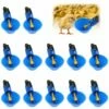 Volaille Tasse à Boire Automatique En Plastique 12 Pcs Distributeur D'Eau De Poulet，Betterlife Abreuvoir Pour Poules Poulailler Volaille Oiseau Coupes Buveur De Poulet Pour Boire De L'eau(Bleu)