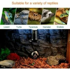 Betterlife E27 100W Émetteur Radiateur Animaux Ampoule Infrarouge Chauffage En Céramique,Lampe De Reptile Pour Amphibiens, Serpent, Oiseaux,Tortue, Chat, Chien（1 Pcs） -POULAILLER ET ÉLEVAGE DE LA BASSE-COUR Ventes 48448732 5