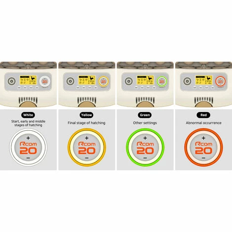 AVIMAC Couveuse Automatique RCOM 20 PRO DO 5 AVIMAC Couveuse Automatique RCOM 20 PRO DO – Image 5