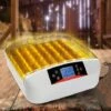IDMARKET Couveuse PRO Automatique 56 Oeufs éclairés Incubateur Autonome Avec LED Mire Oeufs