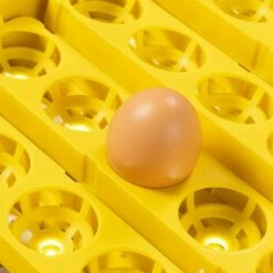 IDMARKET Couveuse PRO Automatique 56 Oeufs éclairés Incubateur Autonome Avec LED Mire Oeufs -POULAILLER ET ÉLEVAGE DE LA BASSE-COUR Ventes 50943099 5