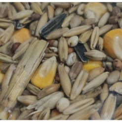 Poulailler et élevage de la basse-cour Soldes 2022 -POULAILLER ET ÉLEVAGE DE LA BASSE-COUR Ventes 51740696 2