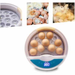 SUPERSELLER Couveuse Et Incubateur Pour Volaille Incubateur D'œufs Numérique Contrôle Automatique De La Température Lumière LED Pour Observer La Croissance 9 œufs Éclosoir Automatique De Volaille Pour Poulets Canards Pigeon Caille (220 V) - Prise UE -POULAILLER ET ÉLEVAGE DE LA BASSE-COUR Ventes 53308250 4