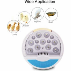 SUPERSELLER Couveuse Et Incubateur Pour Volaille Incubateur D'œufs Numérique Contrôle Automatique De La Température Lumière LED Pour Observer La Croissance 9 œufs Éclosoir Automatique De Volaille Pour Poulets Canards Pigeon Caille (220 V) - Prise UE -POULAILLER ET ÉLEVAGE DE LA BASSE-COUR Ventes 53308250 5