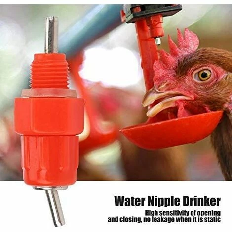REGALI 20pcs Tetine Abreuvoir Poules Tetine Automatique Pour Poule Volaille Poulet Canard Distributeur D'eau Le Style Vis à Vis élevage Alimentation Du Bétail Abreuver équipement Rouge 3 REGALI 20pcs Tetine Abreuvoir Poules Tetine Automatique Pour Poule Volaille Poulet Canard Distributeur D'eau Le Style Vis à Vis élevage Alimentation Du Bétail Abreuver équipement Rouge – Image 3