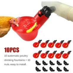 REGALOS 10 Coupes Automatiques Dabreuvoir De Poulet,mangeoire Dabreuvoir Automatique Doiseau De Poule De Poulet-équipement Dalimentation Dabreuvoir De Volaille Pour La Poule De Poulet Doiseau 7 REGALOS 10 Coupes Automatiques Dabreuvoir De Poulet,mangeoire Dabreuvoir Automatique Doiseau De Poule De Poulet-équipement Dalimentation Dabreuvoir De Volaille Pour La Poule De Poulet Doiseau -POULAILLER ET ÉLEVAGE DE LA BASSE-COUR Ventes 54079121 3