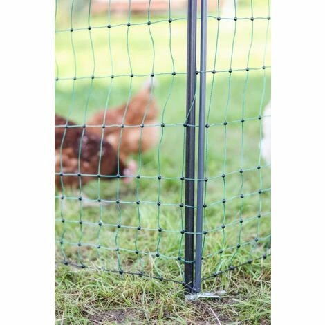 POULAILLER DIRECT Piquet Support Pour Filet Poule En Acier Galvanisé Avec Gaine Plastique 120cm - Kerbl 4 POULAILLER DIRECT Piquet Support Pour Filet Poule En Acier Galvanisé Avec Gaine Plastique 120cm - Kerbl – Image 4