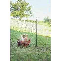 POULAILLER DIRECT Piquet Support Pour Filet Poule En Acier Galvanisé Avec Gaine Plastique 120cm - Kerbl 9 POULAILLER DIRECT Piquet Support Pour Filet Poule En Acier Galvanisé Avec Gaine Plastique 120cm - Kerbl -POULAILLER ET ÉLEVAGE DE LA BASSE-COUR Ventes 54231148 5