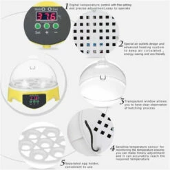 Mini Incubateur D'Oeufs En 15.5x 15.5 X15cm FUIENKO -POULAILLER ET ÉLEVAGE DE LA BASSE-COUR Ventes 54329701 3