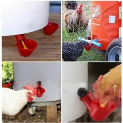 ILOVEMILAN Volaille Automatique Abreuvoir,6 PCS Buveur De Volaille,Poulet Abreuvoir D'eau,Buveurs Automatiques Abreuvoirs En Plastique Rouge Backyards Canard Oiseau Caille Pigeon Poule Alimentation D'eau Bol -POULAILLER ET ÉLEVAGE DE LA BASSE-COUR Ventes 54413604 4