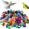 100 Pcs Bague Pour Pied D’Oiseaux Anneaux Pour Pied D'oiseau Jambe D'Anneau D'oiseau Anneaux De Pied Pour Perroquet, Pour Identification Oiseaux Pigeon Poulet Canard Volaille(Multicolor)，Starlight