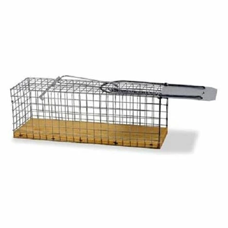 Gaun Cage Petites Souris 1 Gaun Cage Petites Souris
