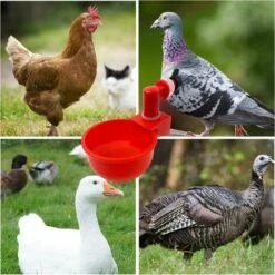 DECKON 6pcs Automatiques Supplies Abreuvoir Poules Tasses à Bol Bol En Plastique, Volailles Distributeurs D'eau Automatique De L'eau Potable Tasses Pour Poussins Cailles Canards Bird -POULAILLER ET ÉLEVAGE DE LA BASSE-COUR Ventes 55886438 5