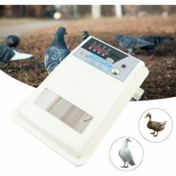GOJOY Couveuse Automatique De 24 œufs De Poules à Affichage Digital De La Température 39 * 25 * 13 Cm Incubateur Automatique Mini Pour Couver Poule Canard Caille œufs De Canard -POULAILLER ET ÉLEVAGE DE LA BASSE-COUR Ventes 57331724 3