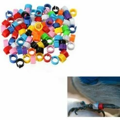 MACARON Couleurs Mélangées Bague Pour Pied D’oiseaux Bague Plastique Pour Pigeon Poussin Bantam Petit Volaille 100 Pcs LO-Ron -POULAILLER ET ÉLEVAGE DE LA BASSE-COUR Ventes 57779706 4