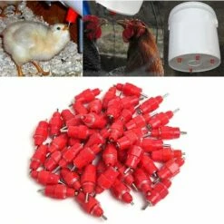 MACARON Lot De 50 Eau Mamelons Abreuvoirs Alimentateur Fournitures De Volaille Pour Poule Canard LO-Ron -POULAILLER ET ÉLEVAGE DE LA BASSE-COUR Ventes 57779709 5