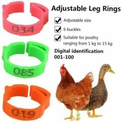MACARON Poulet Taille De L'anneau Réglable Volaille Jambe Étiquette Numérique Boucle Bague Pour Canard Volaille Poulet Fournitures Agricoles 100 Pièces LO-Ron -POULAILLER ET ÉLEVAGE DE LA BASSE-COUR Ventes 57779731 3