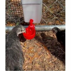 REGALI Lot De 6 Arroseurs Automatiques Pour Volaille, Poules, Canards, Dindes, Coqs, Grilles, Tasse D'eau Pour Volailles, Volailles, Poules, Volailles, Poules, Coqs, Grils -POULAILLER ET ÉLEVAGE DE LA BASSE-COUR Ventes 57964116 3