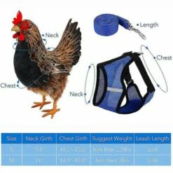 Ensoleillé Harnais De Poulet Réglable Avec Laisse - Gilet De Poule Confortable En Maille Respirante -POULAILLER ET ÉLEVAGE DE LA BASSE-COUR Ventes 58658479 3