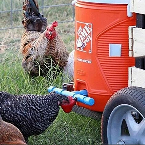 STARLIGHT Ferme Automatique Abreuvoir De Poulet Tasses Volaille Potable Oiseau Abreuvoir Coop Oiseau Abreuvoir (Rouge (12 Pcs),STAR.L 2 STARLIGHT Ferme Automatique Abreuvoir De Poulet Tasses Volaille Potable Oiseau Abreuvoir Coop Oiseau Abreuvoir (Rouge (12 Pcs),STAR.L – Image 2