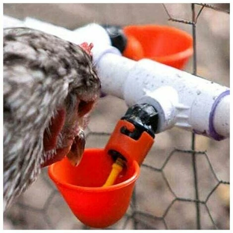 STARLIGHT Ferme Automatique Abreuvoir De Poulet Tasses Volaille Potable Oiseau Abreuvoir Coop Oiseau Abreuvoir (Rouge (12 Pcs),STAR.L 5 STARLIGHT Ferme Automatique Abreuvoir De Poulet Tasses Volaille Potable Oiseau Abreuvoir Coop Oiseau Abreuvoir (Rouge (12 Pcs),STAR.L – Image 5