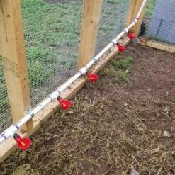 HEGUYEY 16Pcs Abreuvoir Poulet Abreuvoir Automatique Poule, Abreuvoir Mamelons D'eau De Volaille, Montage Latéral Horizontal Lot De Distributeur D'eau Potable Pour Oiseau Canard Poulet -POULAILLER ET ÉLEVAGE DE LA BASSE-COUR Ventes 60159589 3