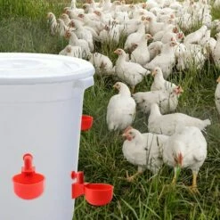 HEGUYEY 12pcs 3/8 Pouces Abreuvoirs Automatiques, Abreuvoir Poulet Abreuvoir Automatique Poule Tasse D'Abreuvoir De Poulet Mangeoire D'eau De Poulet Pour Poulet Canards Oiseaux Dindes -POULAILLER ET ÉLEVAGE DE LA BASSE-COUR Ventes 60159659 5