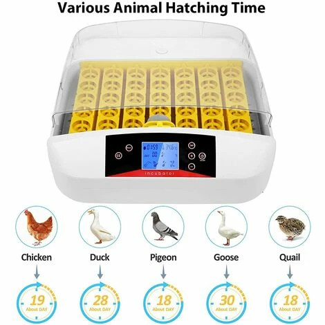 BAMNY Incubateur Entièrement Automatique 55 œufs Couveuse Numérique Avec Rotation Automatique Des œufs Et Contrôle De La Température Et De L'humidité Pour Poules, Canards, Cailles, Oies, œufs à Poulet 2 BAMNY Incubateur Entièrement Automatique 55 œufs Couveuse Numérique Avec Rotation Automatique Des œufs Et Contrôle De La Température Et De L'humidité Pour Poules, Canards, Cailles, Oies, œufs à Poulet – Image 2