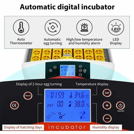 BAMNY Incubateur Entièrement Automatique 55 œufs Couveuse Numérique Avec Rotation Automatique Des œufs Et Contrôle De La Température Et De L'humidité Pour Poules, Canards, Cailles, Oies, œufs à Poulet 3 BAMNY Incubateur Entièrement Automatique 55 œufs Couveuse Numérique Avec Rotation Automatique Des œufs Et Contrôle De La Température Et De L'humidité Pour Poules, Canards, Cailles, Oies, œufs à Poulet – Image 3