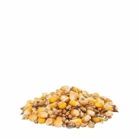 VERSELE LAGA Versele - Laga - Gra-Mix Mélange Poules 2 VERSELE LAGA Versele - Laga - Gra-Mix Mélange Poules – Image 2