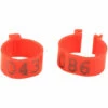 YD 100 Pièces/sac 16MM 001-100 Numérotés En Plastique Volaille Poulets Canards Oie Jambe Bandes Anneaux (rouge)