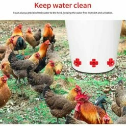 Yoouyida à Eau De Volaille, Abreuvoir Automatique Pour Tétine De Poulet Avec Montage Latéral Horizontal, Abreuvoir Pour Poulets Deau, Lot De 12 -POULAILLER ET ÉLEVAGE DE LA BASSE-COUR Ventes 60652207 5