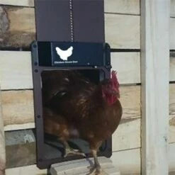 Yoouyida Porte De Poulailler Automatique, Avec Capteur De Lumière & Contrôle De La Minuterie Pour Un Elevage De Poulets Sécurisé（brun） -POULAILLER ET ÉLEVAGE DE LA BASSE-COUR Ventes 60652631 3