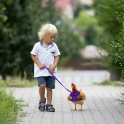 STARLIGHT 2 Pièces Harnais De Poulet Set, SL.GT Laisse Pour Poule Réglable, Harnais Respirant Chiot, Ajustable Harnet Petit Animal, Harnai Poulet Anti Traction -POULAILLER ET ÉLEVAGE DE LA BASSE-COUR Ventes 60885557 4