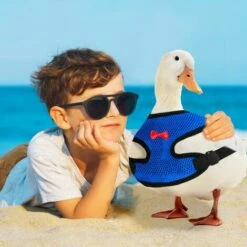 STARLIGHT 2 Pièces Harnais De Poulet Set, SL.GT Laisse Pour Poule Réglable, Harnais Respirant Chiot, Ajustable Harnet Petit Animal, Harnai Poulet Anti Traction -POULAILLER ET ÉLEVAGE DE LA BASSE-COUR Ventes 60885557 5