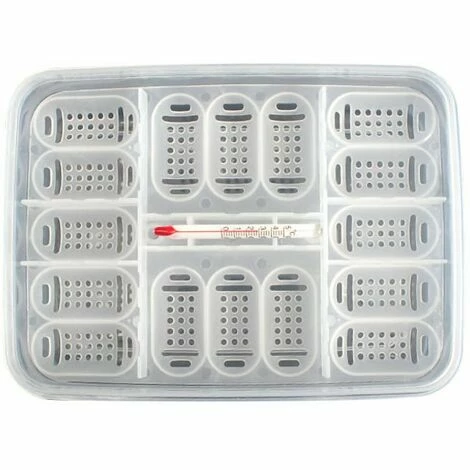 LIFCAUSAL Plateau à Oeufs De Reptiles Boîte à Oeufs De Reptile Boîte D'élevage De Reptiles Boîte D'incubation De Reptiles Convient à L'éclosion De Lézards De Serpents Reptiles Avec Thermomètre 3 LIFCAUSAL Plateau à Oeufs De Reptiles Boîte à Oeufs De Reptile Boîte D'élevage De Reptiles Boîte D'incubation De Reptiles Convient à L'éclosion De Lézards De Serpents Reptiles Avec Thermomètre – Image 3