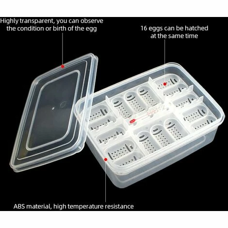 LIFCAUSAL Plateau à Oeufs De Reptiles Boîte à Oeufs De Reptile Boîte D'élevage De Reptiles Boîte D'incubation De Reptiles Convient à L'éclosion De Lézards De Serpents Reptiles Avec Thermomètre 4 LIFCAUSAL Plateau à Oeufs De Reptiles Boîte à Oeufs De Reptile Boîte D'élevage De Reptiles Boîte D'incubation De Reptiles Convient à L'éclosion De Lézards De Serpents Reptiles Avec Thermomètre – Image 4